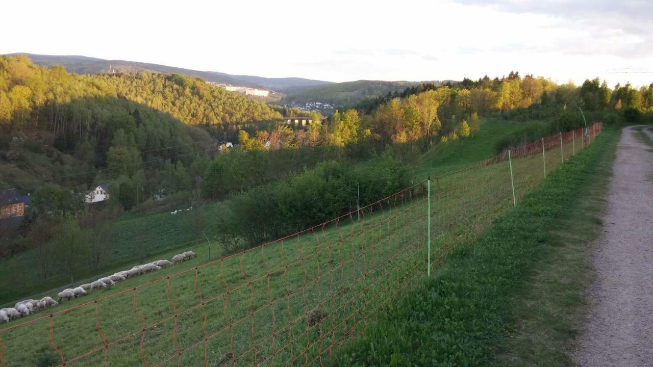 Ferienwohnung Weiss Ауе Екстериор снимка